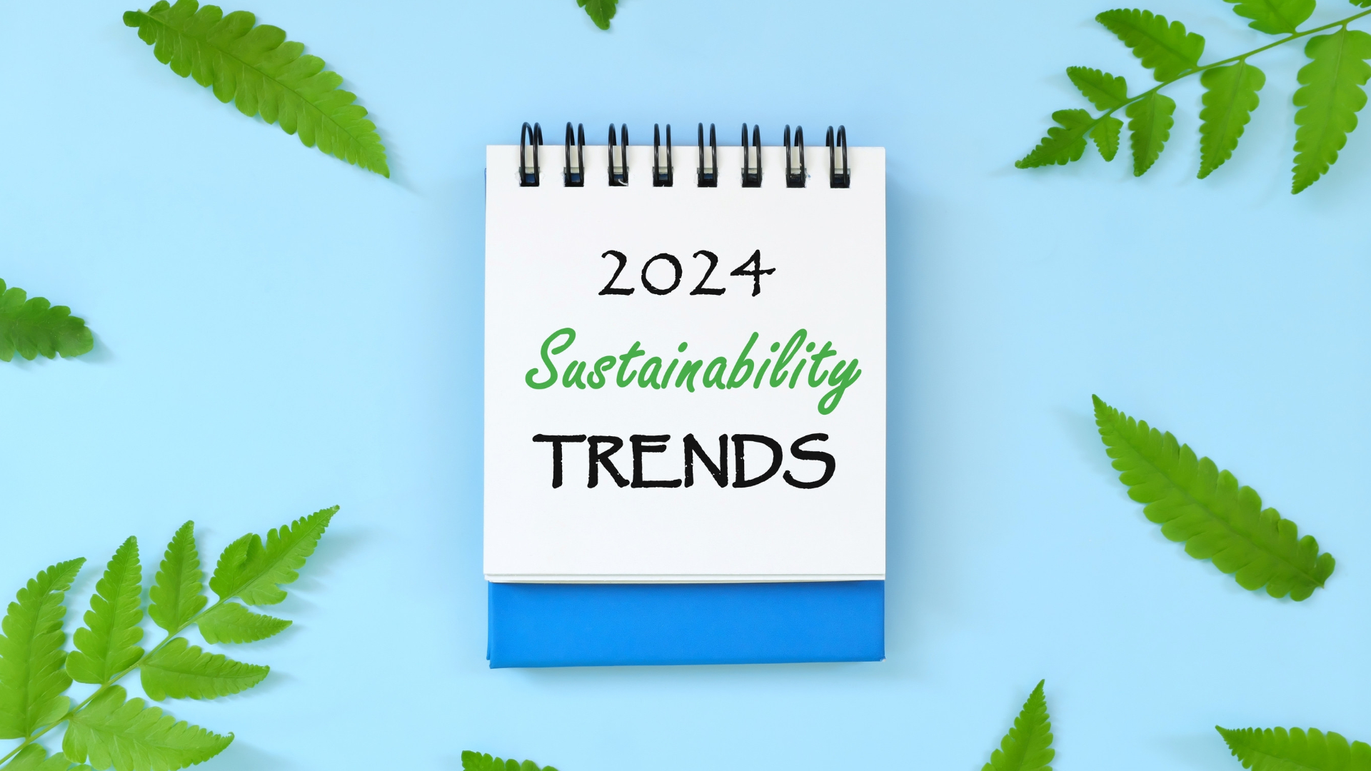 Major PHL Sustainability Trends In 2024 Brandplay